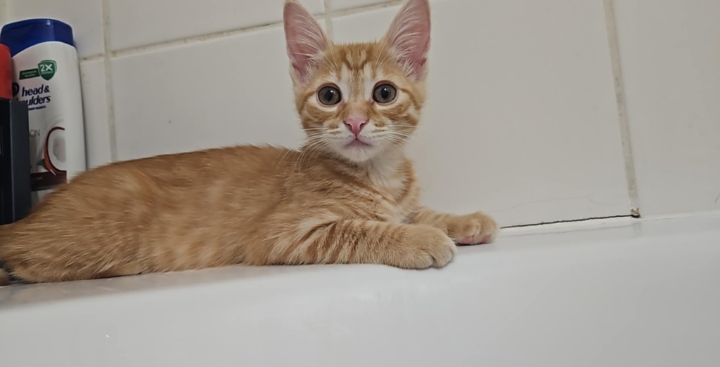 Image #2 from Nikolett