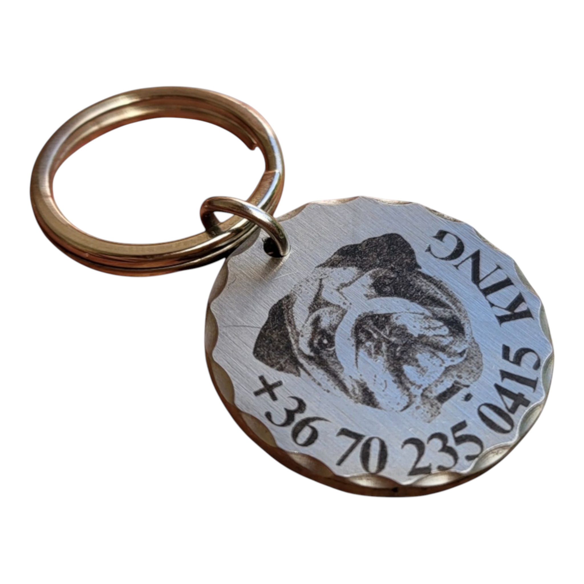 luna by you angol bulldog kutyabileta