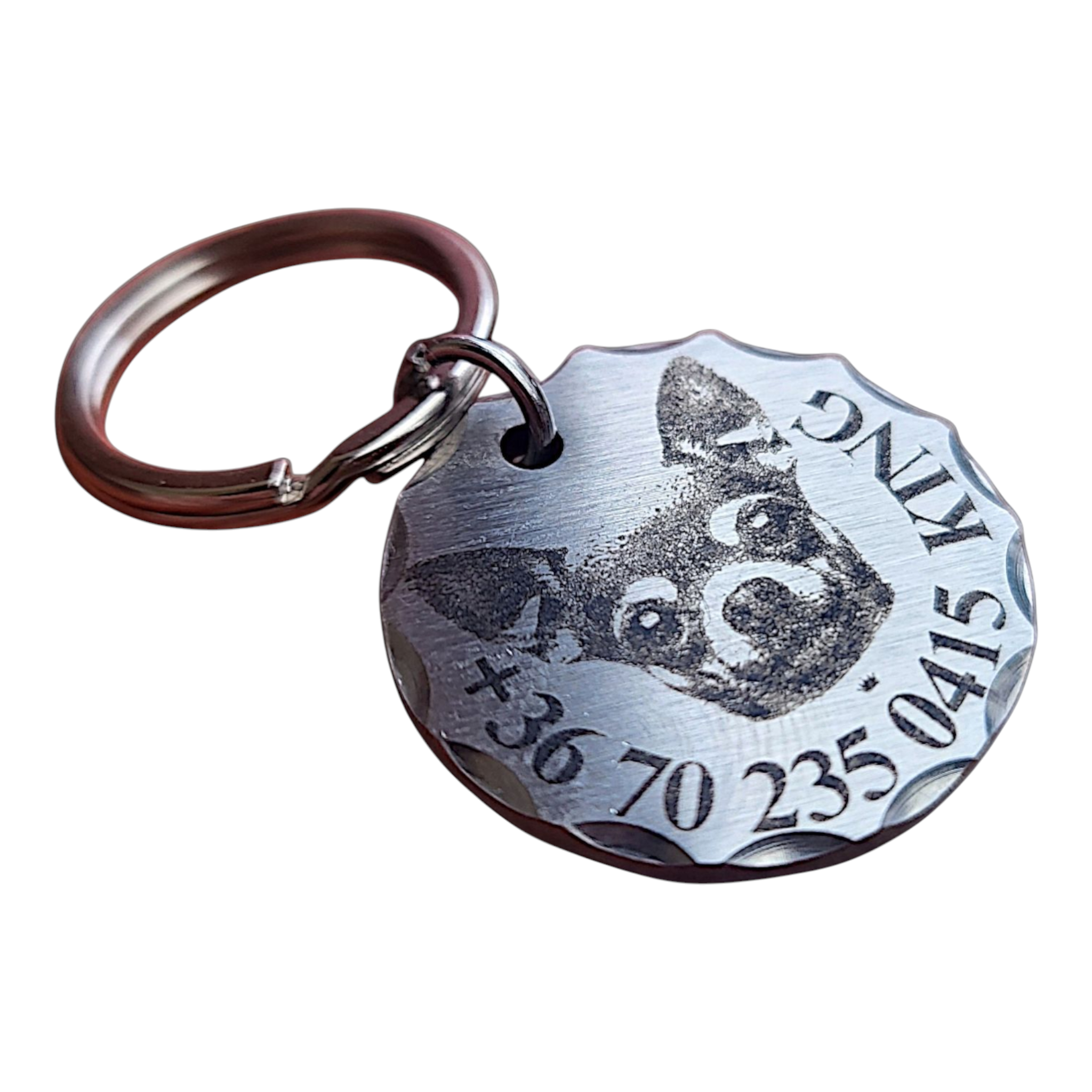 luna by you csivava kutyabileta