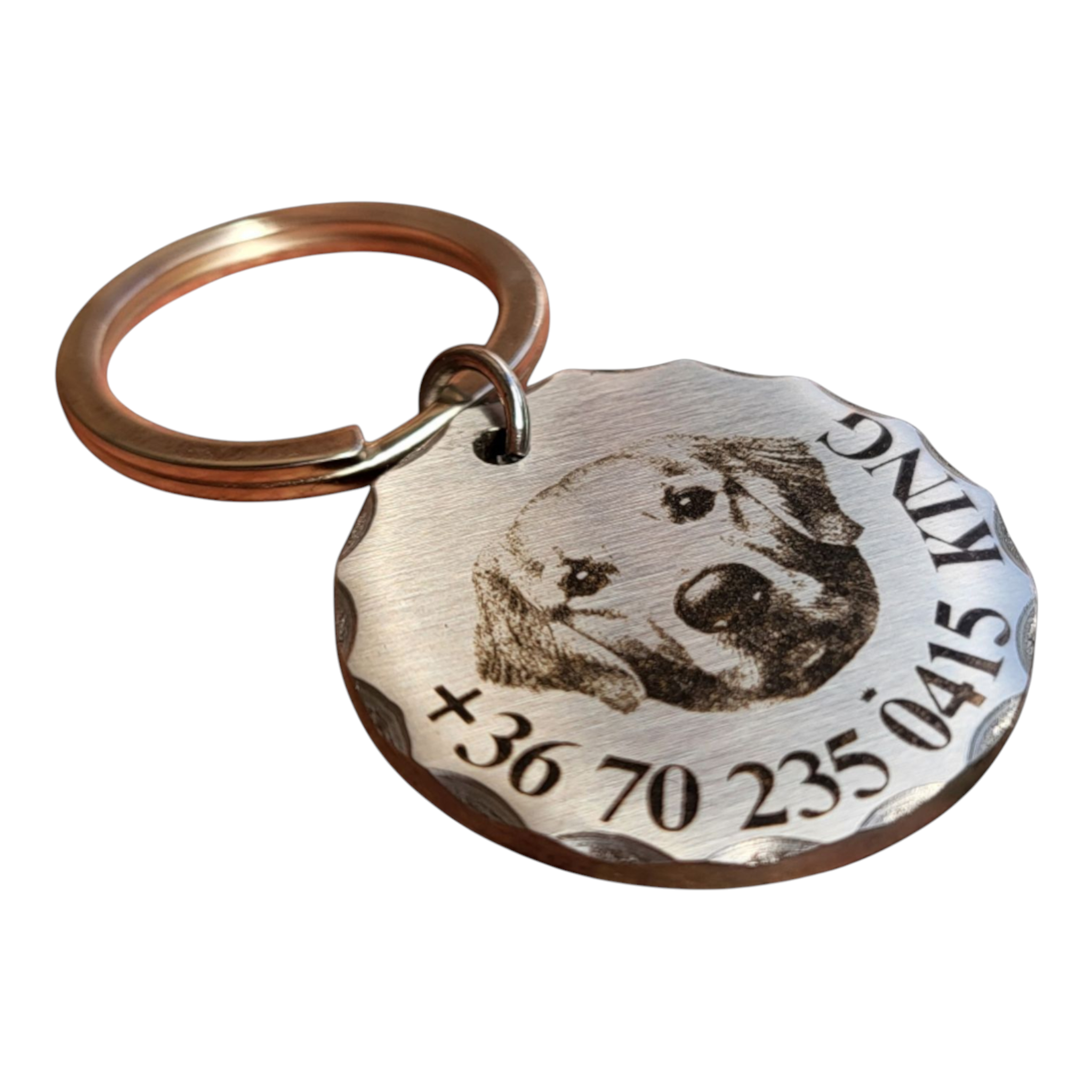 luna by you golden retriever kutyabileta