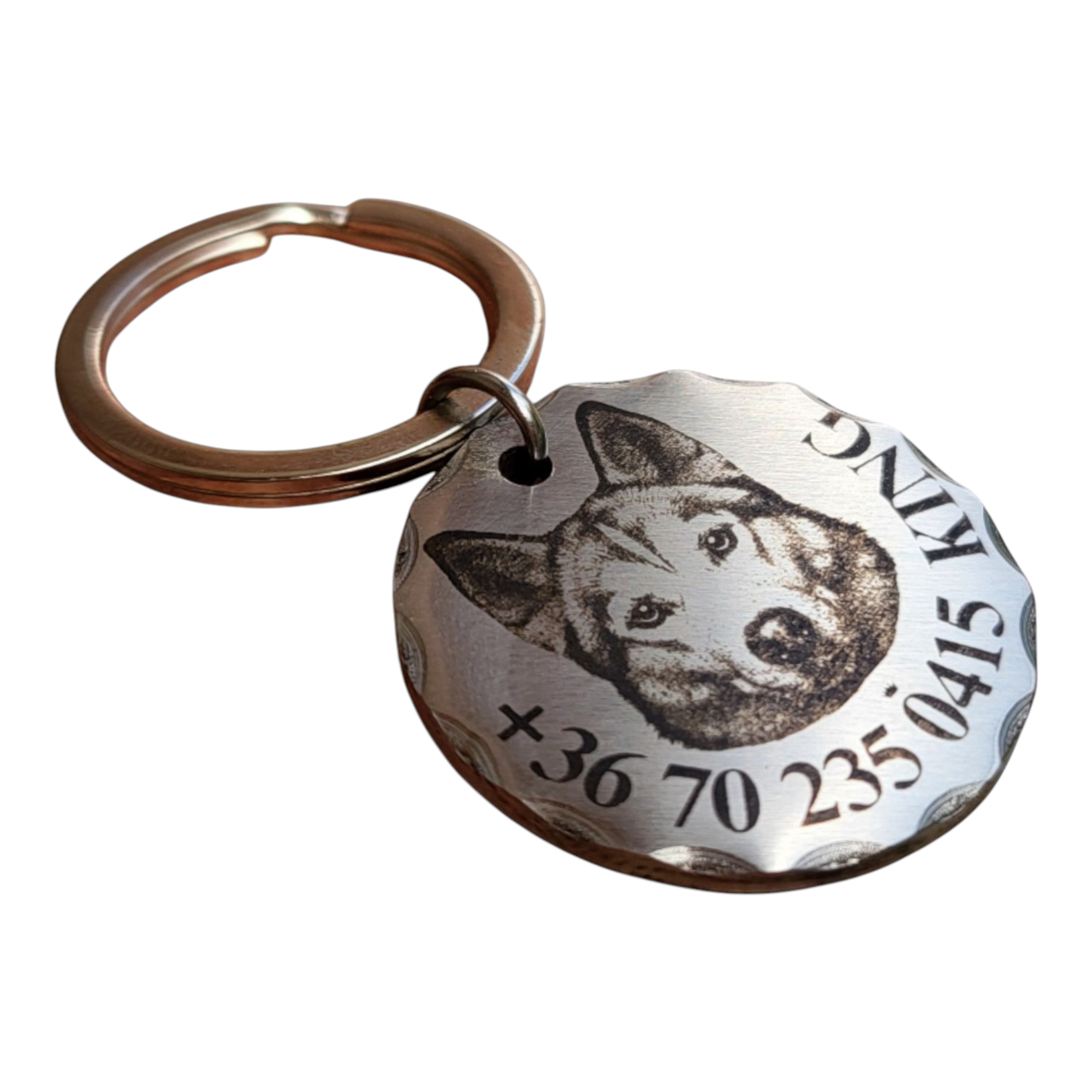 luna by you husky kutyabileta