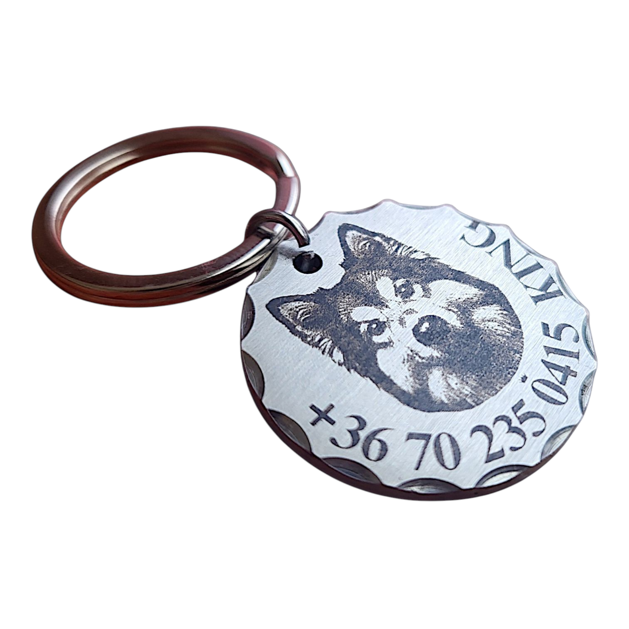 luna by you malamut kutyabileta