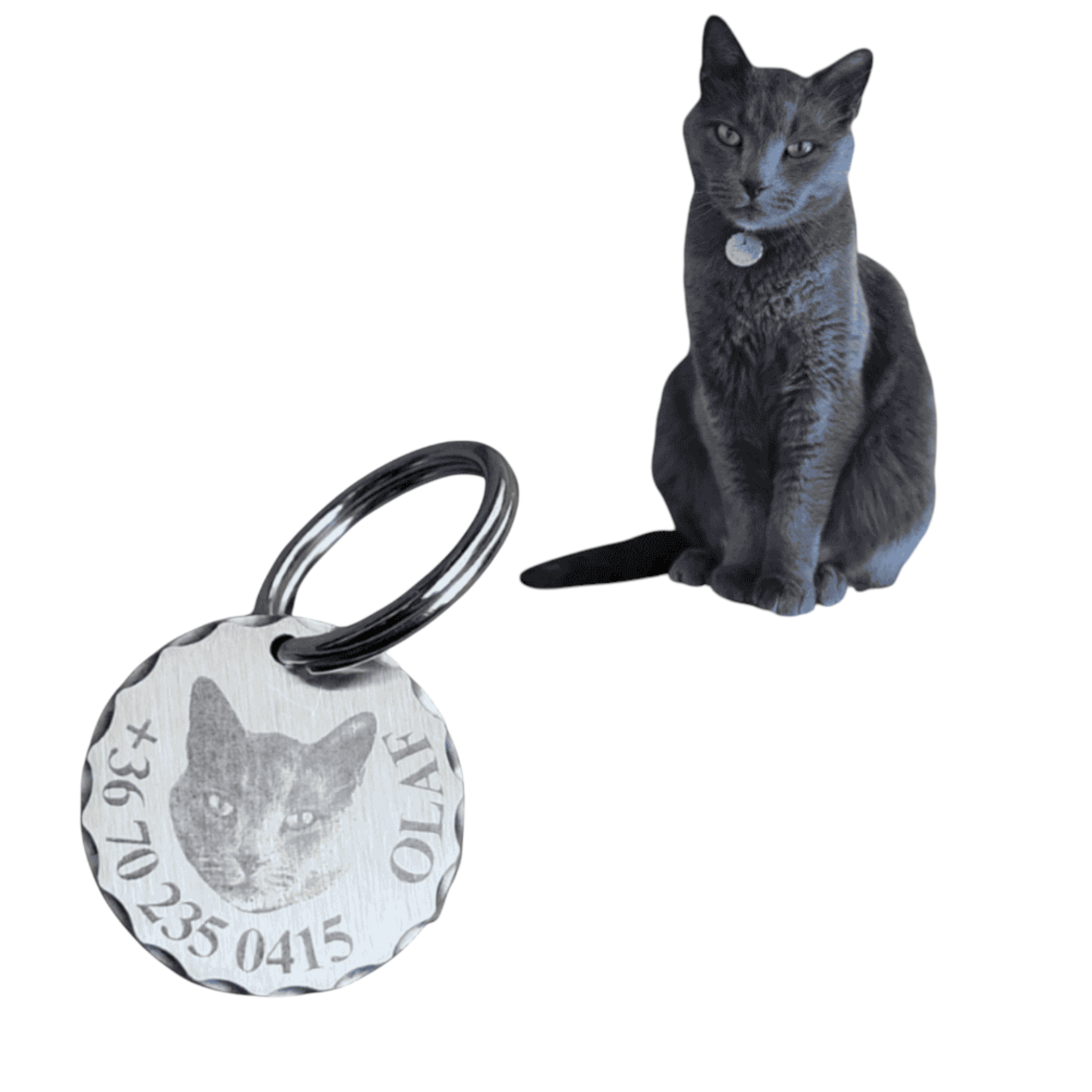 luna by you sajat cicas macska bileta