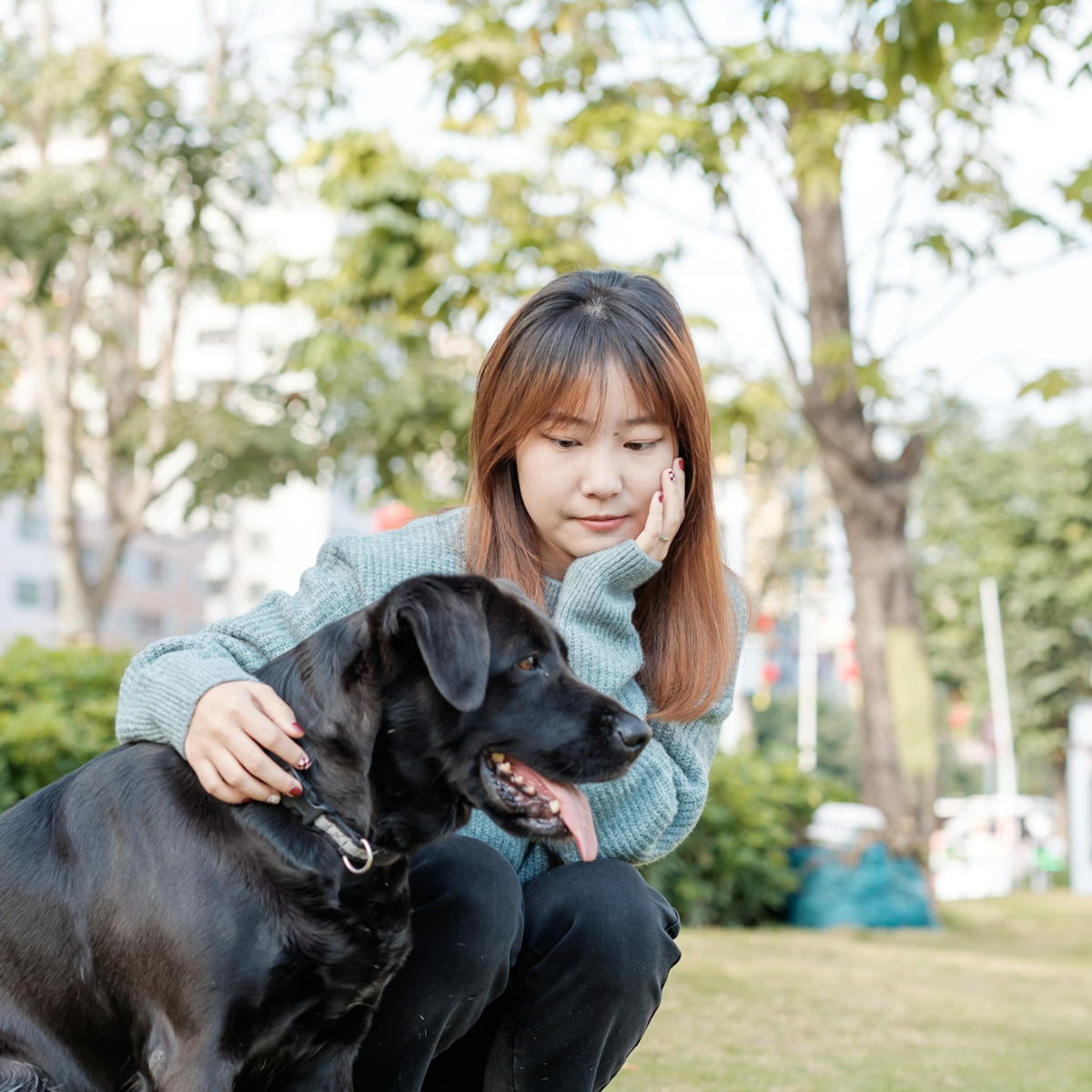 Read more about the article A kutyák tényleg érzik, ha szomorú vagy?