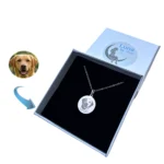 Nyaklánc a Kutyád Fotójából