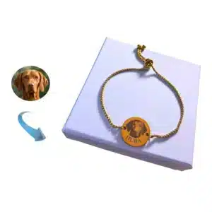 kutyas-karkoto-arany-szin