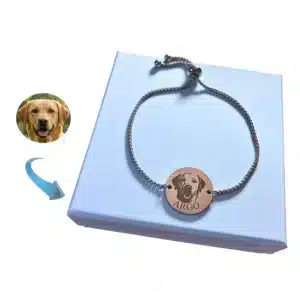 kutyas-karkoto-ezust-szin